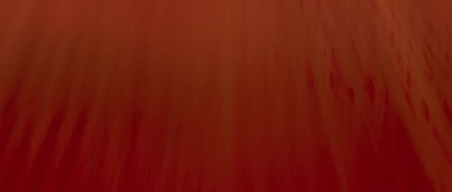 Giant Ant // The Last White Rhino by Giant Ant