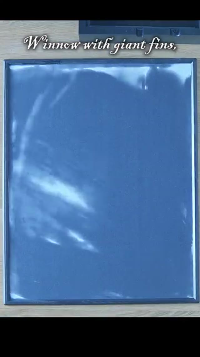 The Kraken (Ancient Poem) by Howard Wimshurst Animation