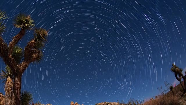 Timelapse Unveils the Sky Vault over the Joshua Tree National Park by Costanza