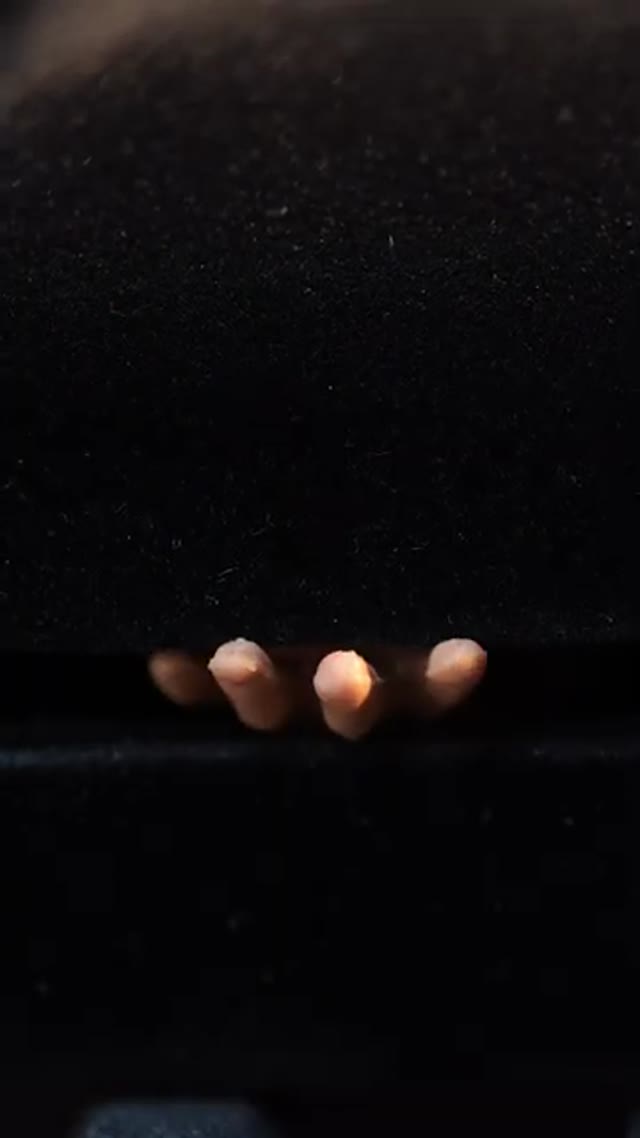 Grilled Muscles by PES