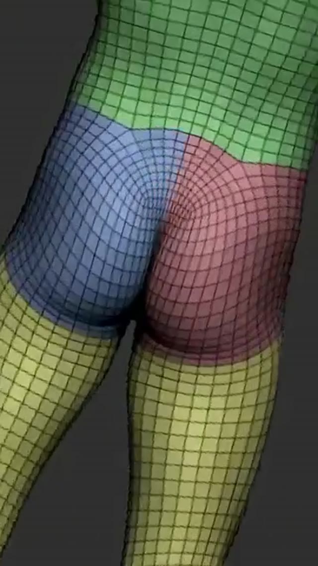 The Ultimate Character Basemesh & Anatomy FlipBox by FlippedNormals
